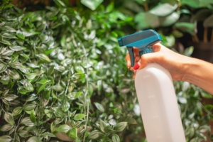 Foliar Sprays