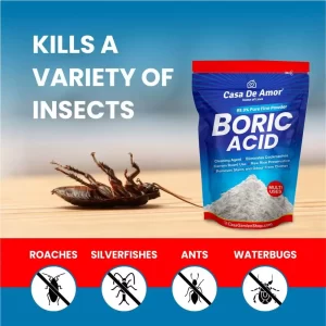 Boric acid in Insecticides