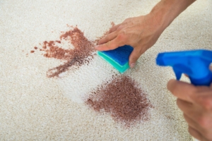 Borax in Carpet cleaners